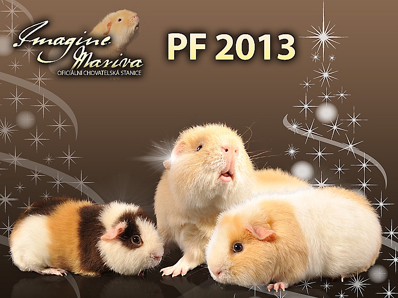 PF 2013